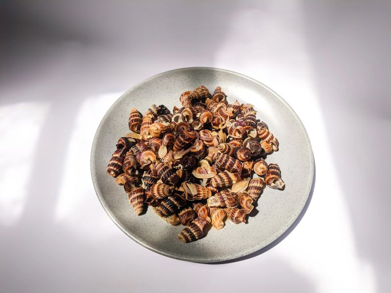 Belitung snails or snails that have been cooked and put on a plate