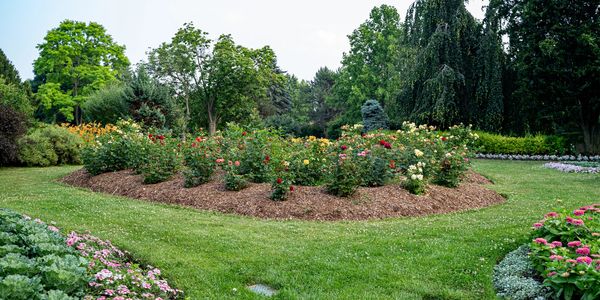 A vibrant flower bed surrounded by lush green grass and trees.