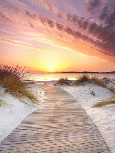 Peaceful boardwalk through a natural landscape representing reflection in Christian Counselling.