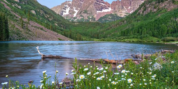 Wildflowers blooming by a serene mountain lake.