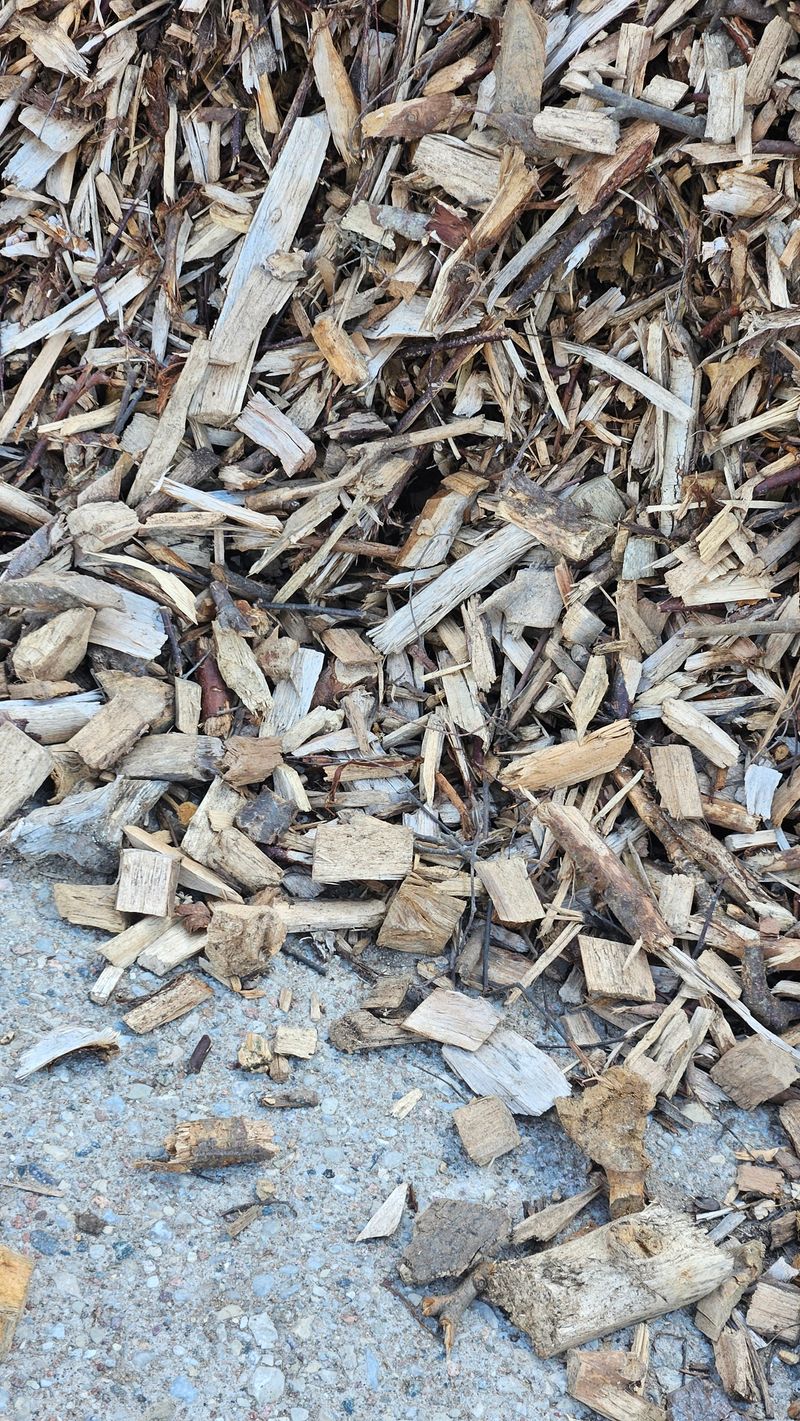 Close-up photo of wood chips mulch, commonly used in gardening and landscaping as ground cover. The image highlights the rough, organic texture of shredded bark and twigs in various shades of brown. Ideal for use as a background, texture overlay, or for themes related to nature, gardening, sustainability, or eco-friendly landscaping