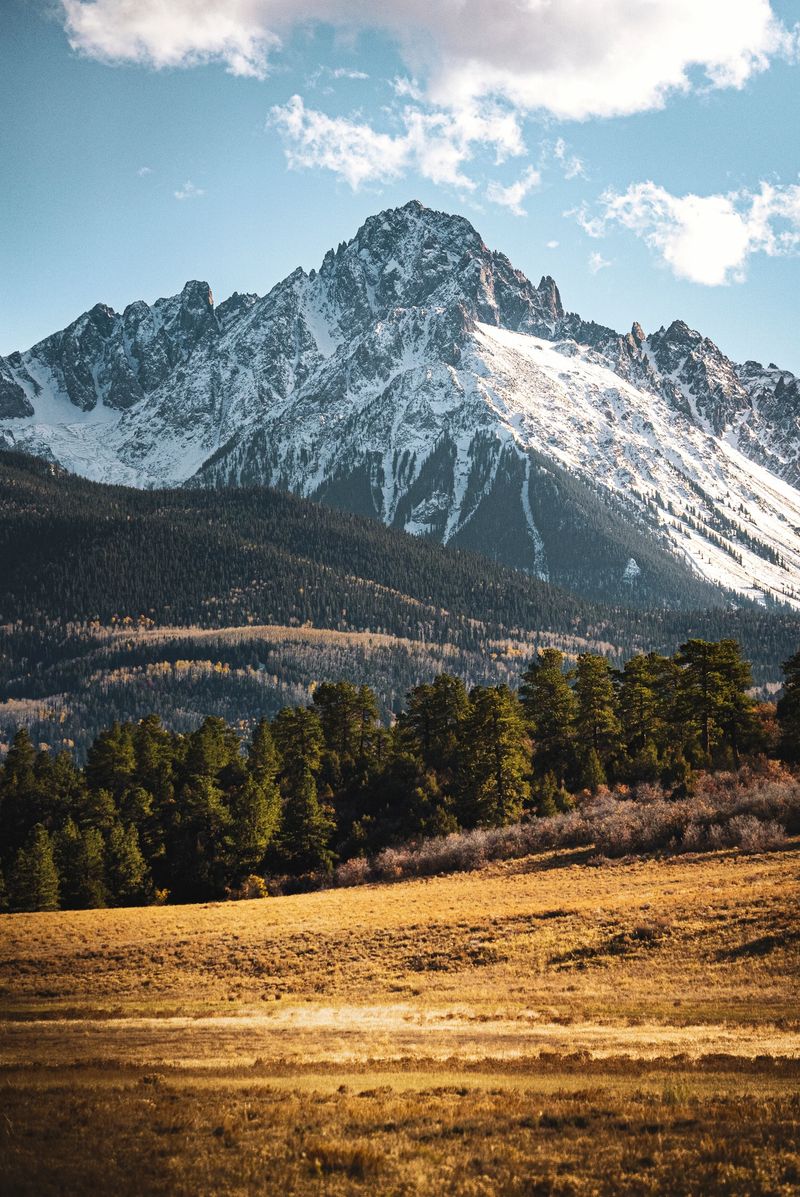 Up at the meadow with the glorious Mt Sneffels in Ridgway Colorado.