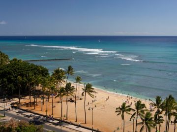 Sunny beach with palm trees and waves under a clear blue sky.