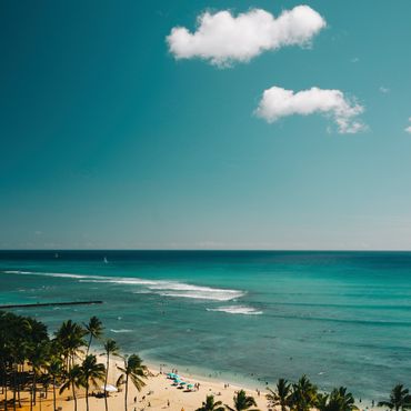 Sunny beach with palm trees and calm turquoise ocean under a clear sky.