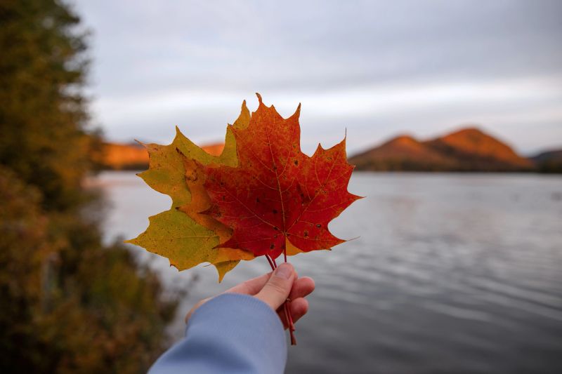 Maple leaf in hand against the background of the lake and mountains. Mont-Tremblant, Quebec, Canada.