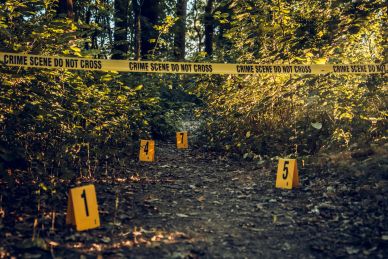 Crime scene tape and evidence markers in a forested area.
