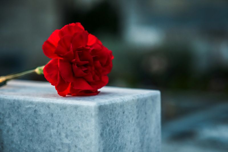 A single red carnation lies on a weathered gravestone in a cemetery, symbolizing remembrance, mourning, loss, and respect for the deceased.