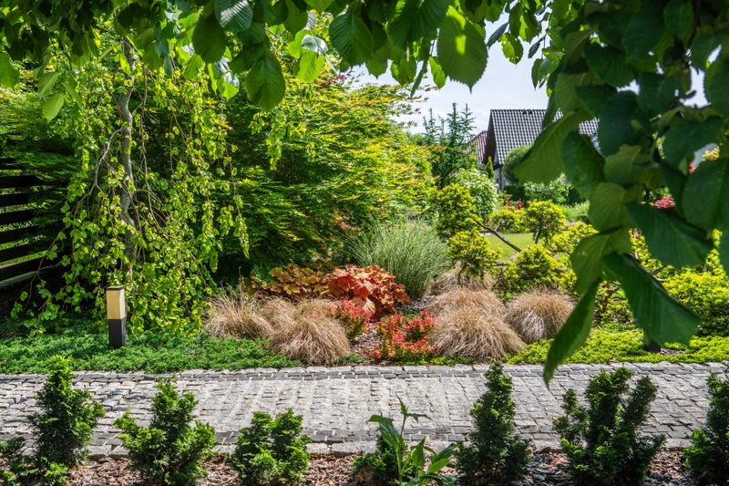 A vibrant garden pathway surrounded by various plants and greenery, showcasing fall foliage and a well-kept landscape under bright sunlight.