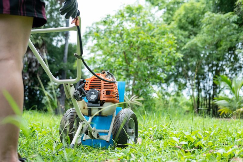 Gardener carefully mowing the green lawn with a modern lawn mower on a sunny day outdoors.