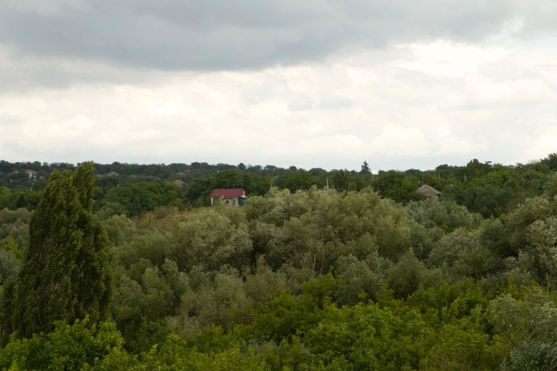 A house on a hill surrounded by trees. Tree. Outdoor. Sky. Forest. Lush