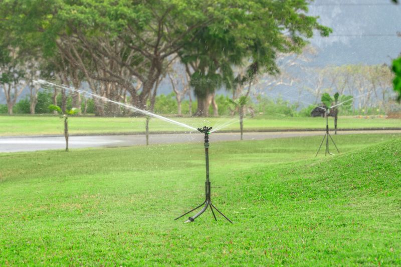 A beautiful fresh green lawn. Garden maintenance and watering lawn irrigation with garden spike.