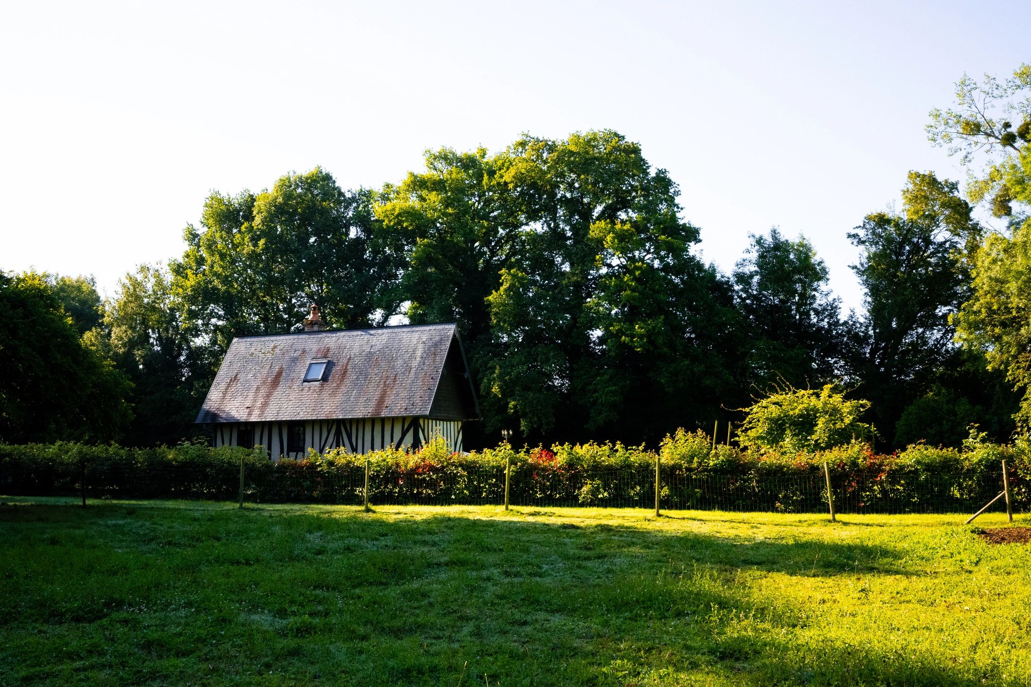 Homestead Cottages — CA 93601