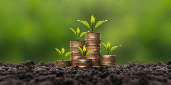 Small plants growing from stacks of coins in soil symbolizing financial growth.