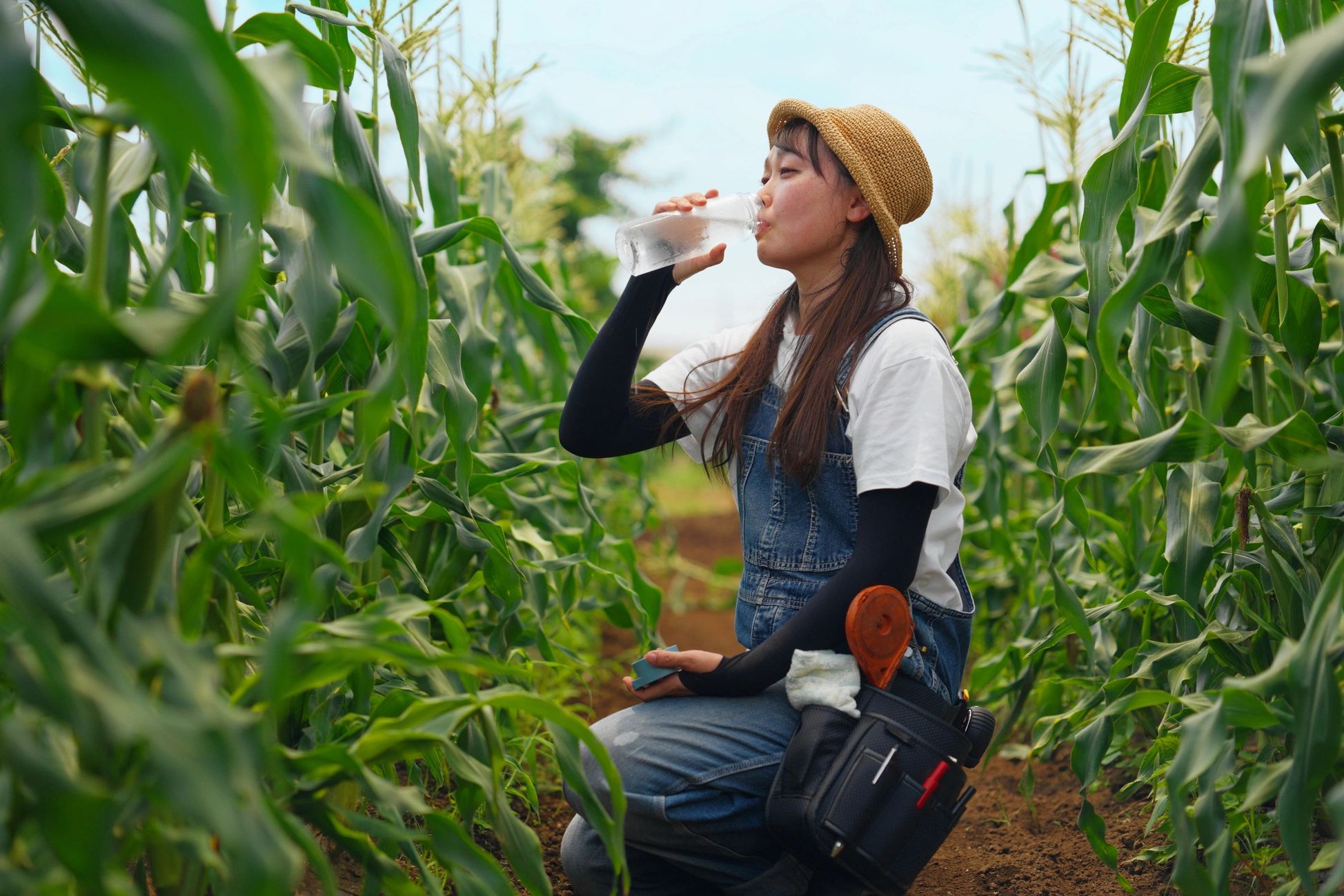 Trabajadora del campo con sombrero tomando agua de una botella en un maizal