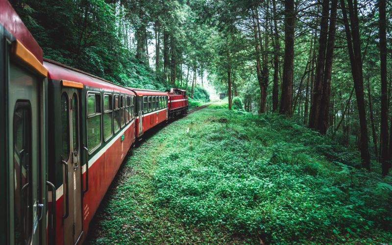 Train ride in green forest at Alishan National Park, Taiwan
