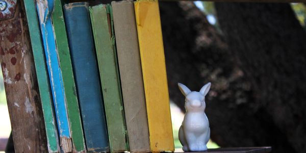 Books lined up next to a small white rabbit figurine.