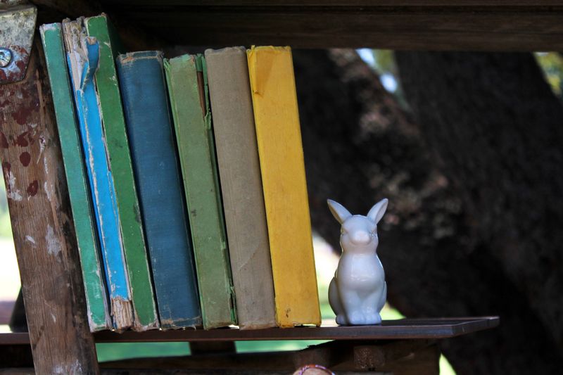 Vintage colorful books lined on wooden shelf with white ceramic rabbit figurine, creating nostalgic literary scene with natural lighting