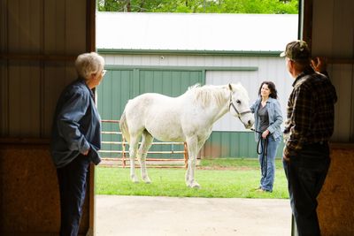 Woman wearing a helmet rides a brown and white horse in a fenced outdoor area.