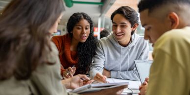 Group of students studying together.