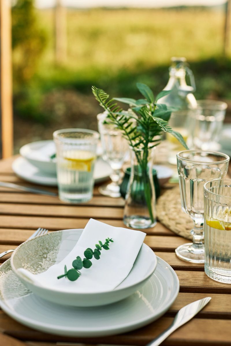 A beautifully set outdoor lunch table with white plates, fresh greenery, glassware, and lemon-infused water, surrounded by a serene natural setting on a sunny day.