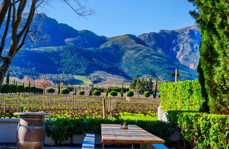 A scenic view of Franschhoek's vineyards and mountains is framed by a tree, with an inviting wooden table and wine barrel in the foreground, Cape Winelands, South Africa