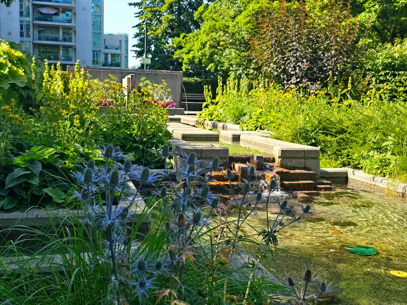Fountain waters cascading in the foreground alongside Mediterranean sea holly (Eryngium bourgatii) in a garden filled with colorful flowers and lush, textured green foliage basking in afternoon sun.