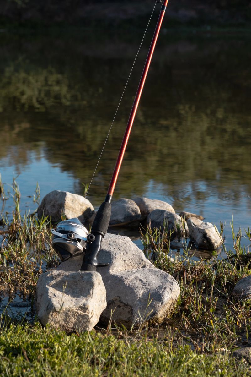Fishing rod resting on rocks along the riverbank, line cast into the water, creating a serene setting for a tranquil day of angling amidst nature's beauty