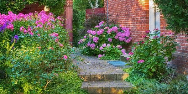 A garden pathway surrounded by vibrant pink and purple flowers beside a brick building.