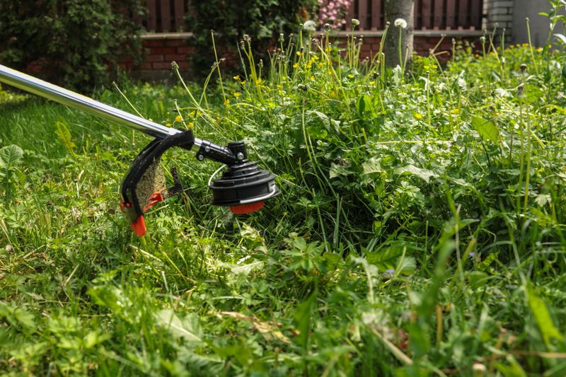 Close-up of grass trimmer cutting overgrown weeds and dandelions in backyard. Concept of garden work, summer lawn care, and maintenance.