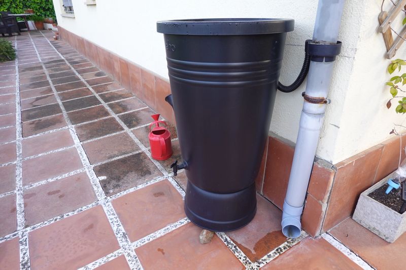 Black rainwater tank collecting water from downspout in a home garden, promoting water conservation and eco-friendly practices