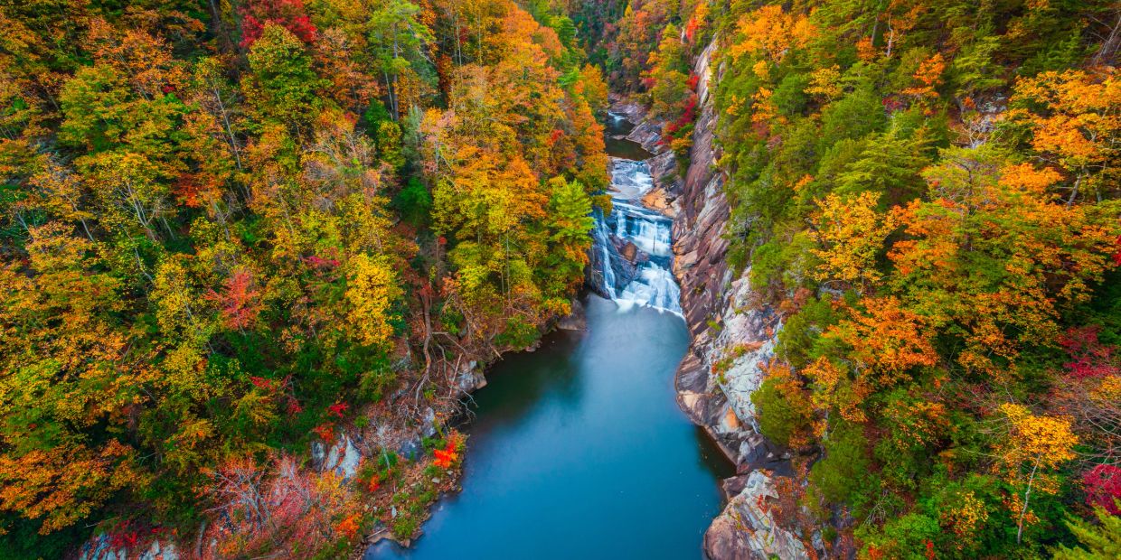 Waterfall river surrounded by autumn forest.