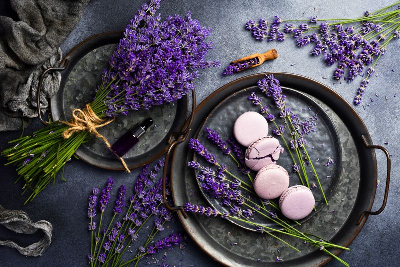 French macarons with lavender flavor and fresh lavender flowers, on a stone plate. Top view.
