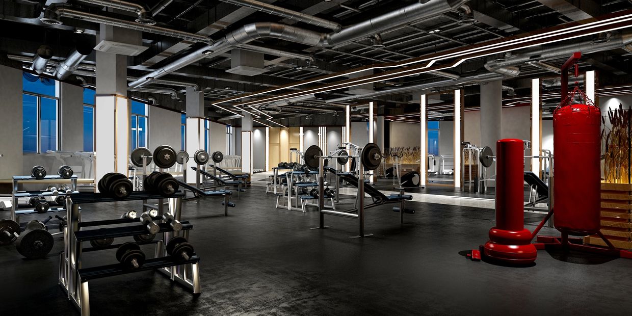 Modern gym with weights and punching bags.
