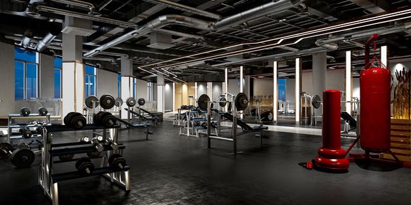 Modern gym interior with weightlifting equipment and punching bags.