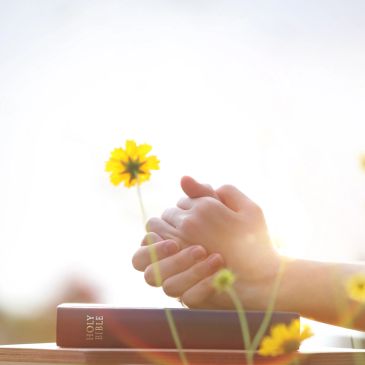 Hands clasped in prayer over a Holy Bible with yellow flowers in sunlight.