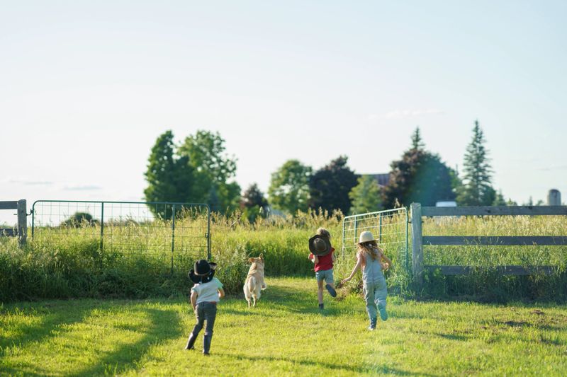 Three children wearing hats run outdoors with a dog on a bright day at a family farm. The image depicts youthful energy, rural charm, and emphasizes a happy connection with nature and animals.