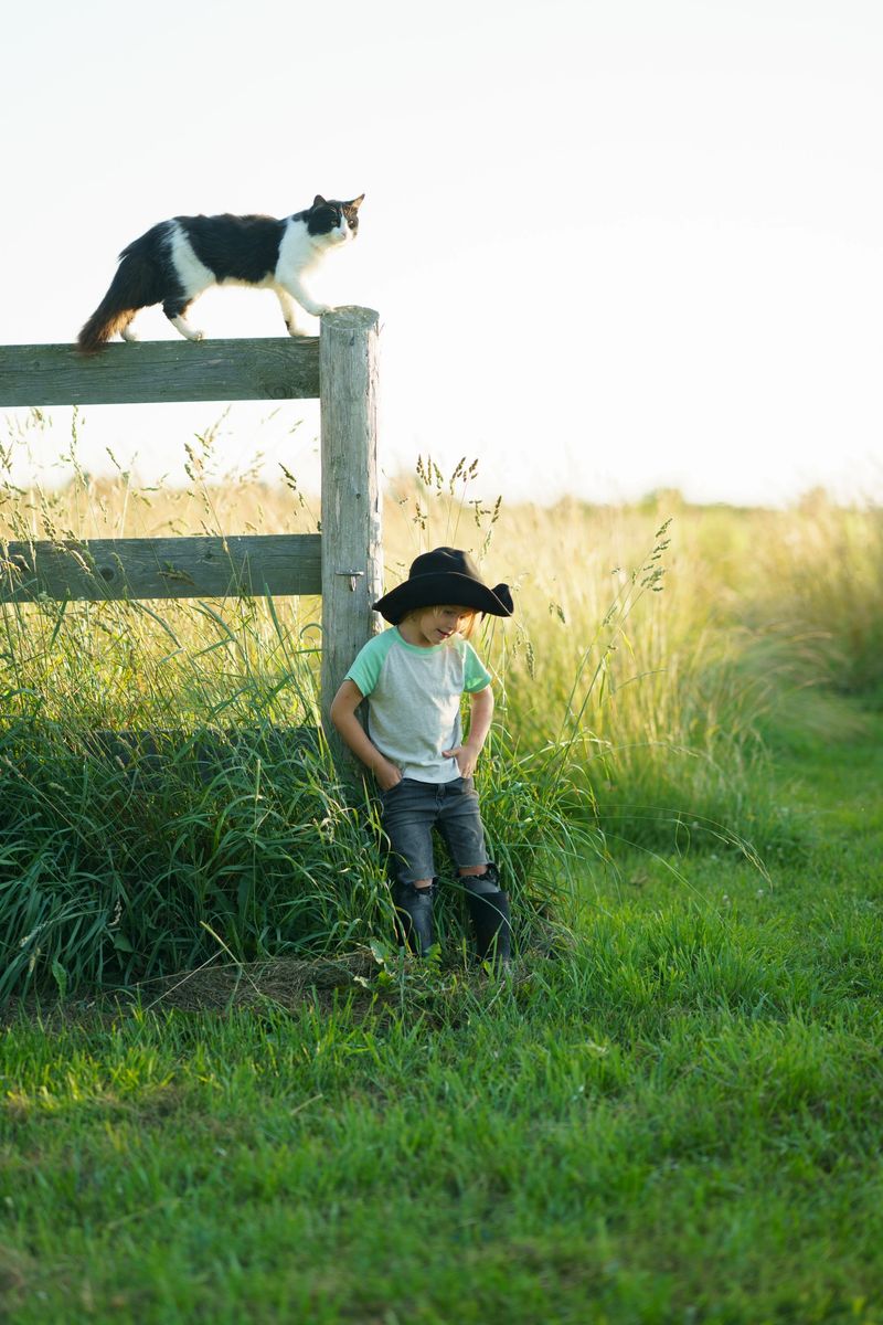 A serene countryside setting with a young child leaning on a wooden fence and a cat gracefully balanced on top, surrounded by tall grass in warm sunlight, evoking feelings of nostalgia and tranquility.