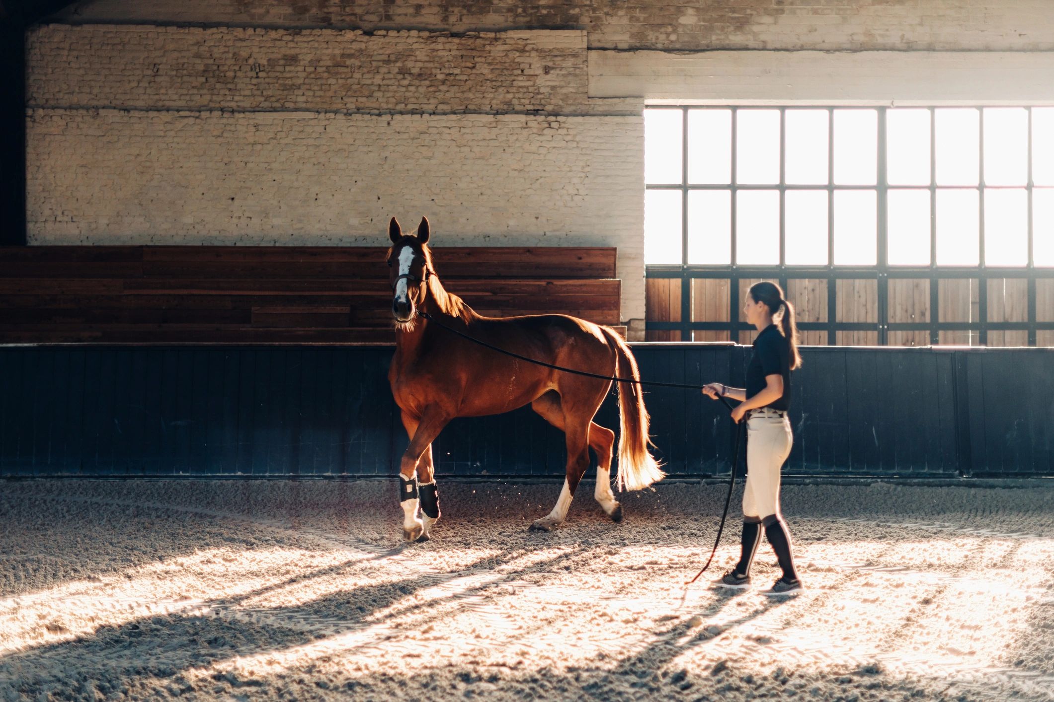Elite Stables