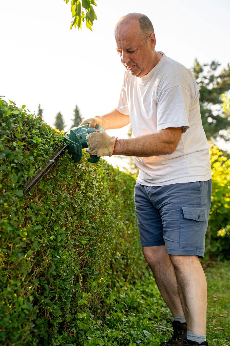 A middle-aged man wearing a white shirt and blue shorts uses an electric trimmer to shape a lush green hedge on a sunny day. The scene is set in a vibrant garden with natural light.