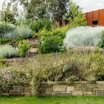 A multi-tiered garden with various green shrubs and plants.