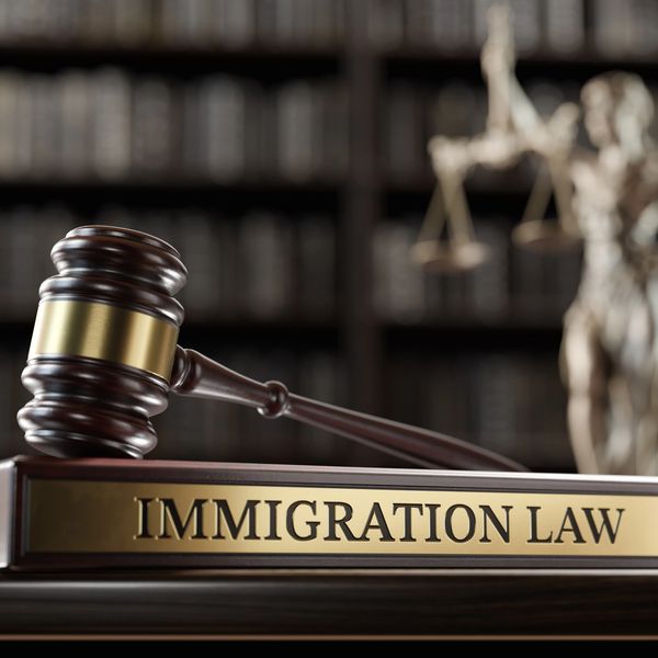 picture of gavel on a form reading immigration law