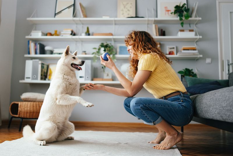 A woman interacts happily with her white dog in a cozy home interior, fostering a positive relationship. The light-filled space reflects a sense of comfort, companionship, and modern living.