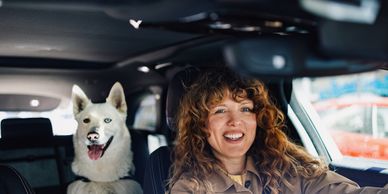 A smiling woman drives a car with a happy white dog in the backseat.