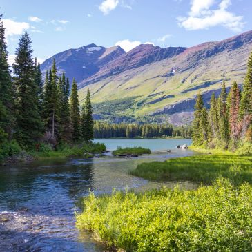 A serene river flowing through lush greenery with mountains in the background.