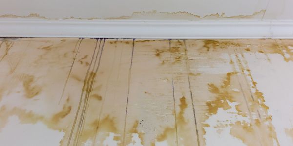 A water damaged floor and floor boards. Possible mold. Insurance claim.