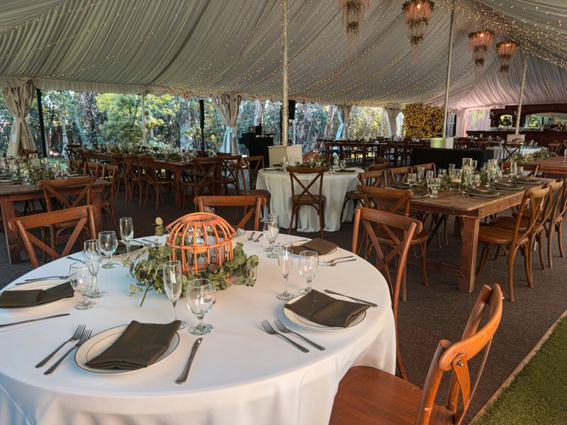 Beautiful rustic wedding reception setup with stylish plates, silverware, and vintage wooden tables. Captured during the daytime in an open-sided tent decorated with hanging string lights, featuring clean and fresh table settings with green accents and natural details before guests arrive.