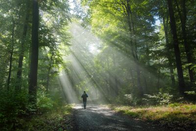 Person walking along with sunlight streaming through representing healing after family scapegoating.