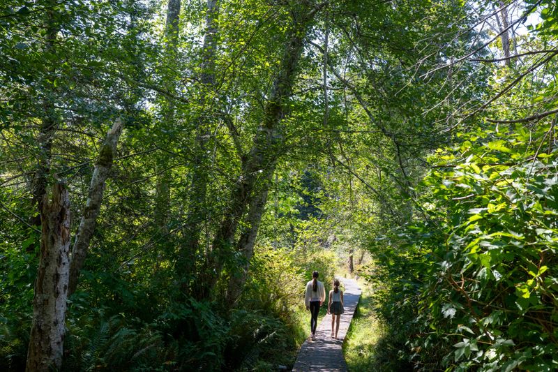 Distant view of sisters walking on boardwalk in lush forest together, Pender Island, Gulf Islands, B.C.