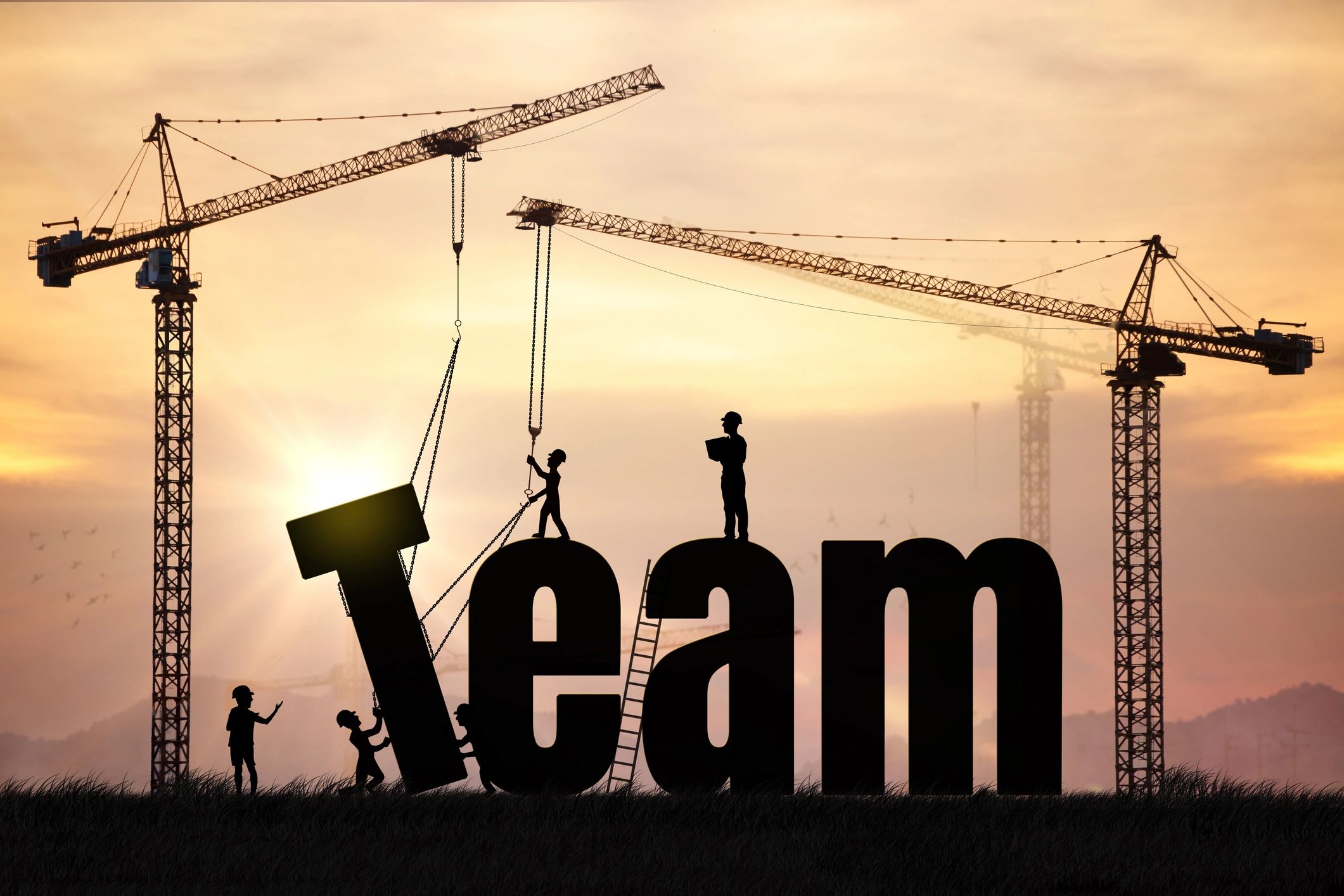 Construction workers building the word 'Team' at sunset.