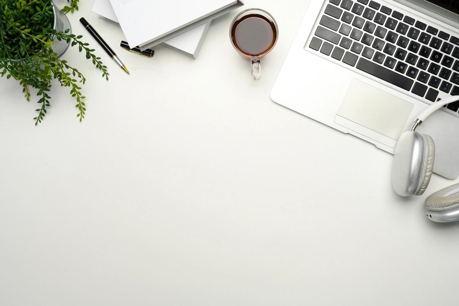 A potted plant, a pen, 2 notebooks, a coffee mug and a laptop with headphones on top
